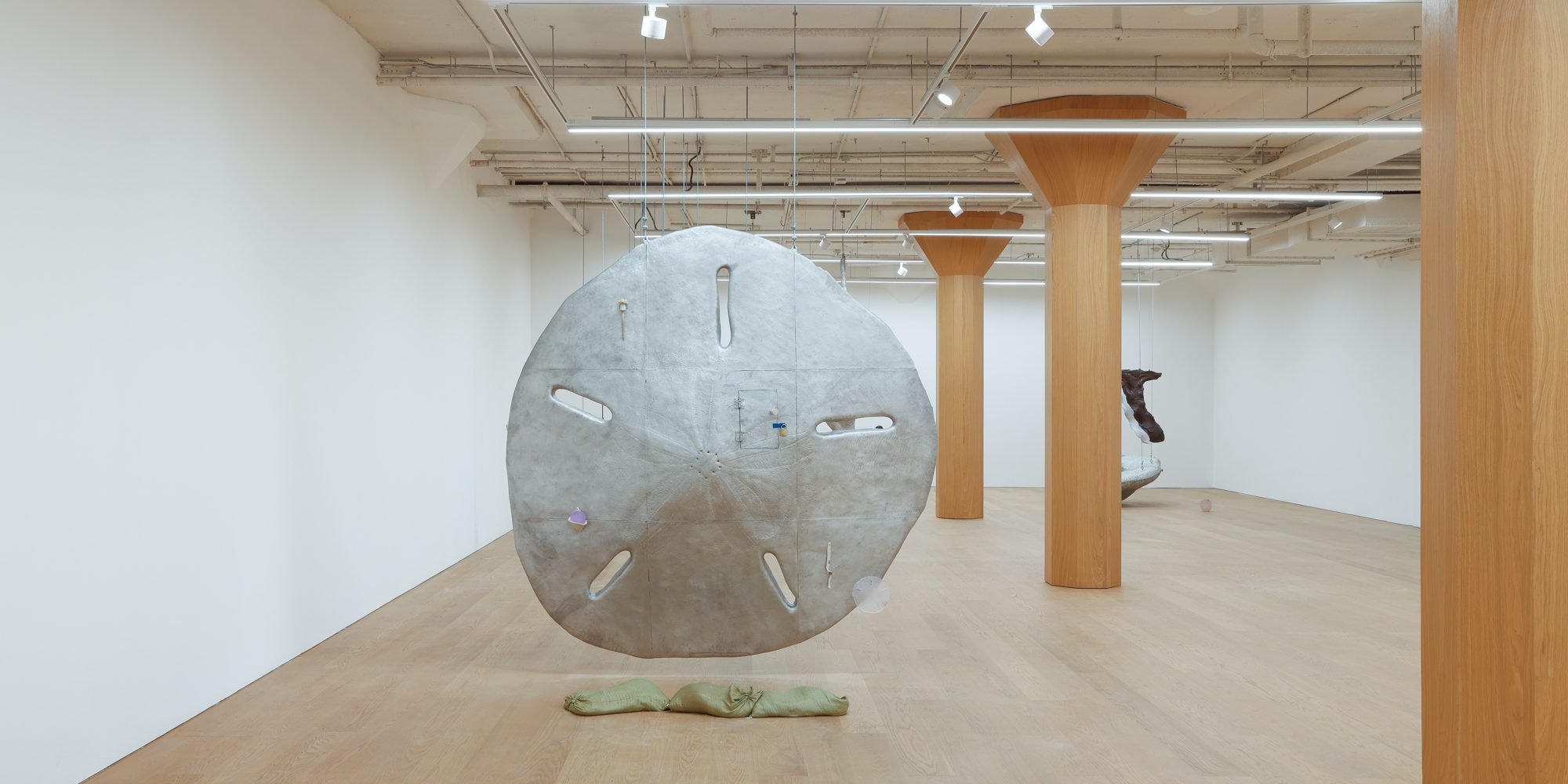 View of Please No Helemt 03